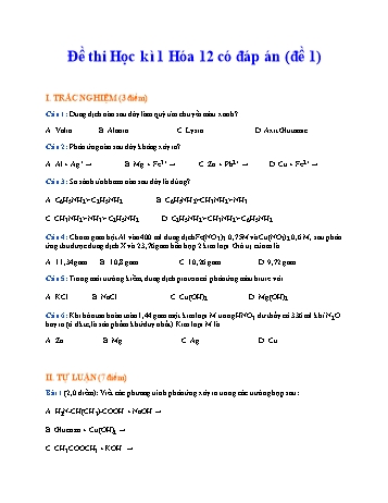 Đề thi học kì 1 môn Hóa học Lớp 12 - Đề 1 (Có đáp án)