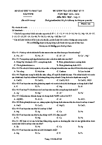 Đề kiểm tra giữa học kì 2 Hóa học Lớp 12 - Mã đề 201 - Năm học 2022-2023 - Sở GD&ĐT Bắc Ninh
